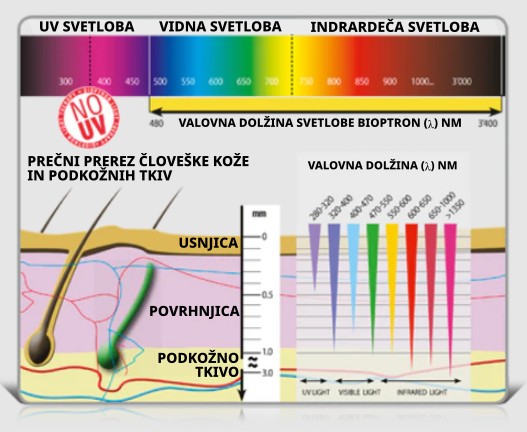 Beladonna - Kako deluje BIOPTRON svetloba